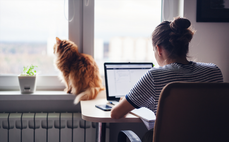 Компании с удаленной работой