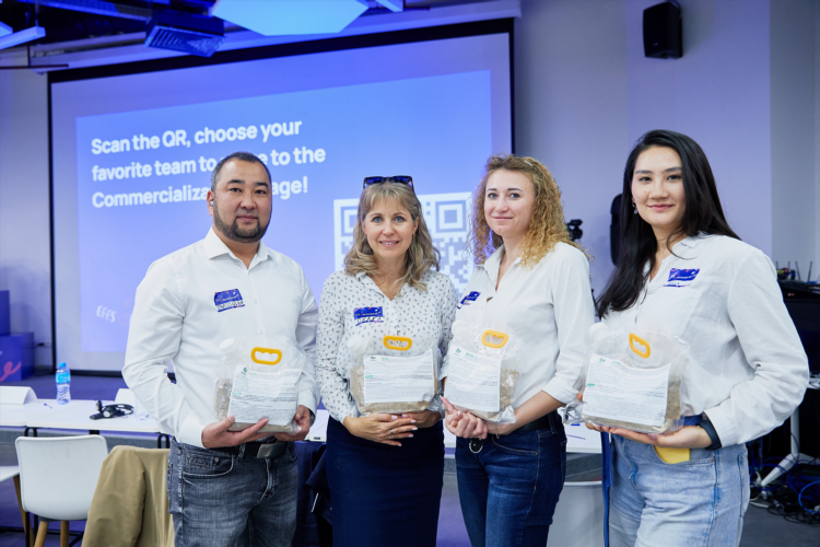 Платформа хаб для заработка