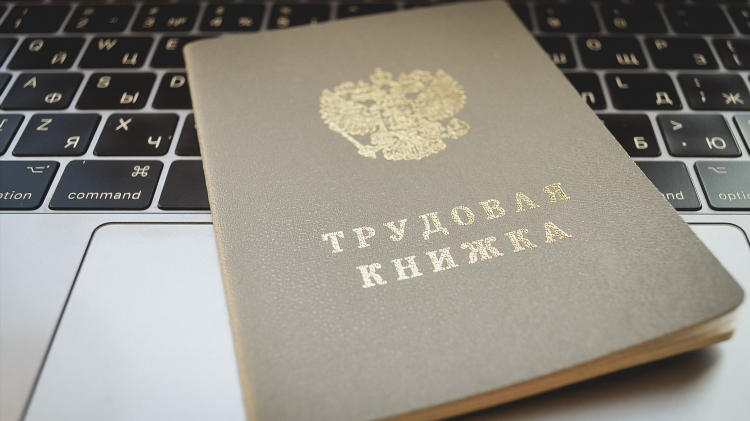 Подработка удаленно для студентов