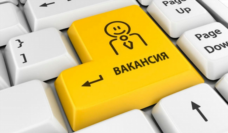 Работа для студентов онлайн