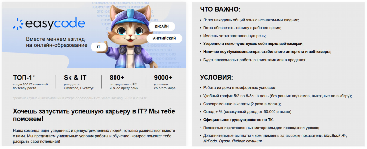 Работа на авито удаленно