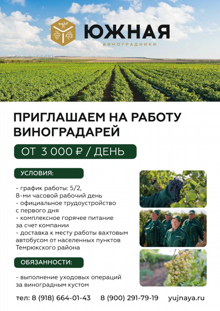 Работа оператор 1с удаленно вакансии