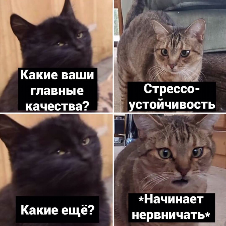 Работа редактором текстов удаленно вакансии без опыта