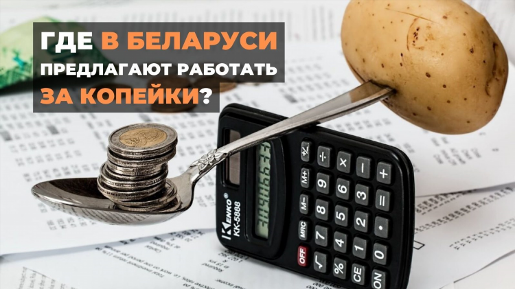 Работа в могилеве удаленно свежие вакансии