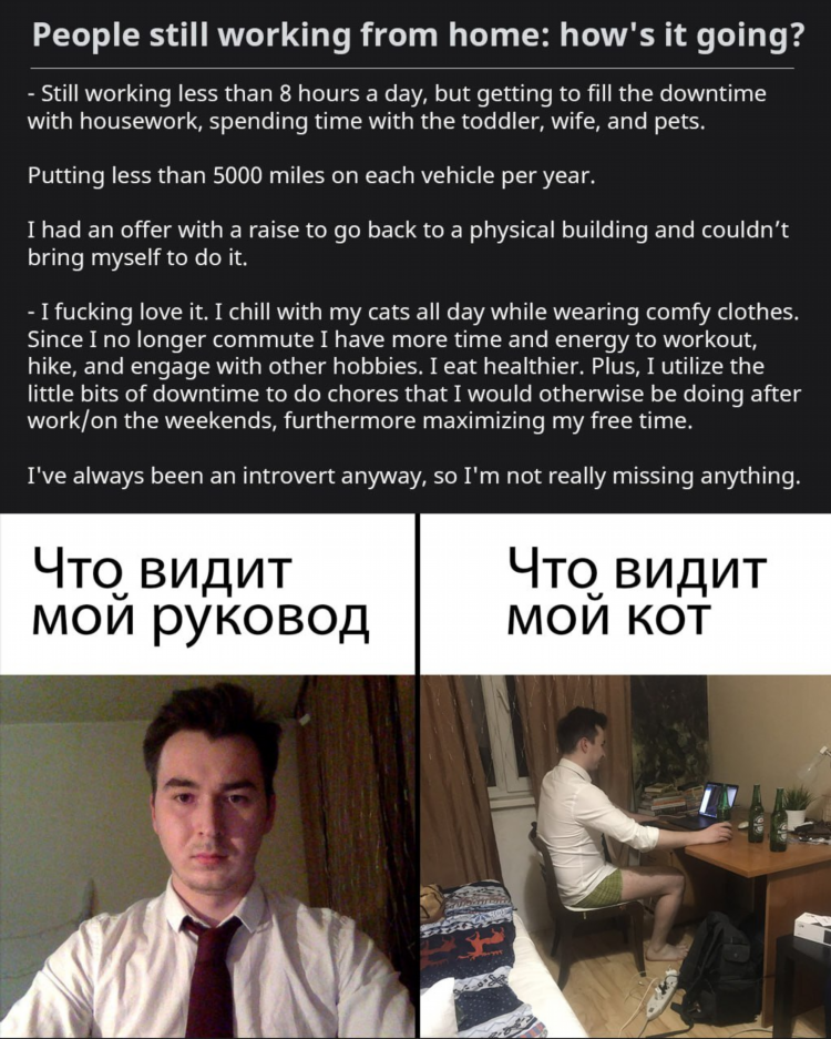 Удаленная работа на английском языке