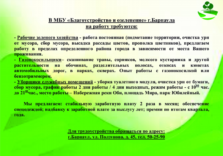 Удаленная работа на дому вакансии барнаул