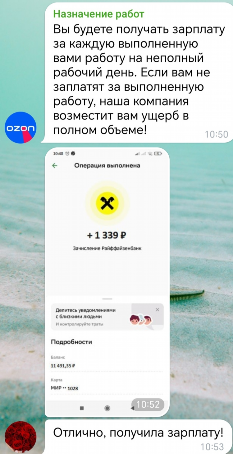 Удаленная работа озон
